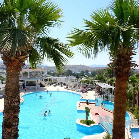 Phoenix Sun 4*