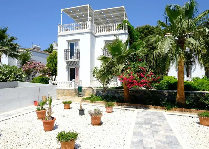 リゾート Phoenix Sun 4*