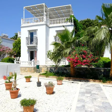 منتجع Phoenix Sun 4*